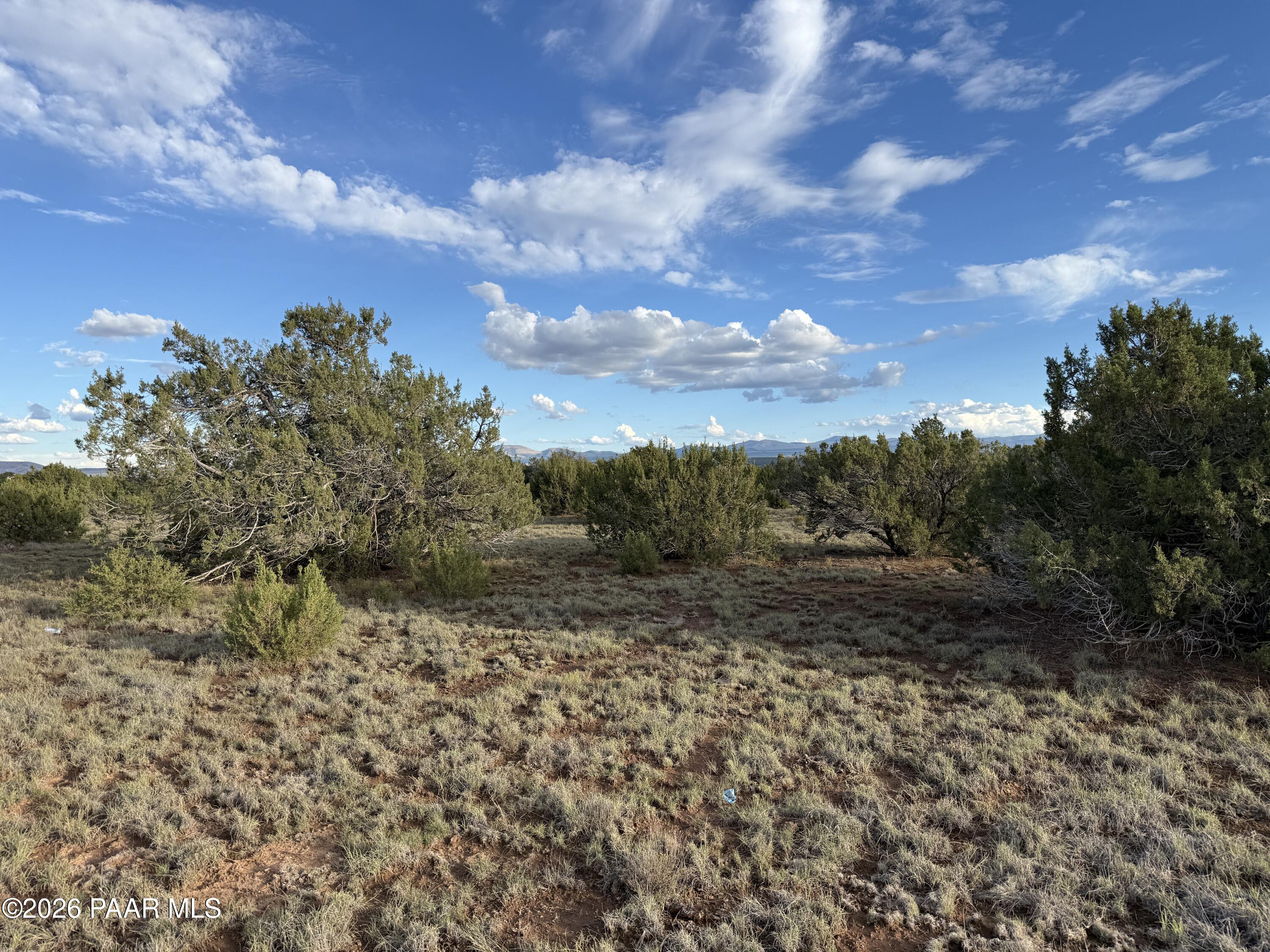 44 County Road 8097 Show Low, AZ 85901 - Photo 9 of 16 a view of a yard with wooden fence