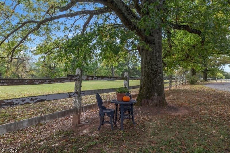 1850 Burnt Mills Road Bedminster, NJ 07921 - Photo 17 of 30 a view of a park with large trees