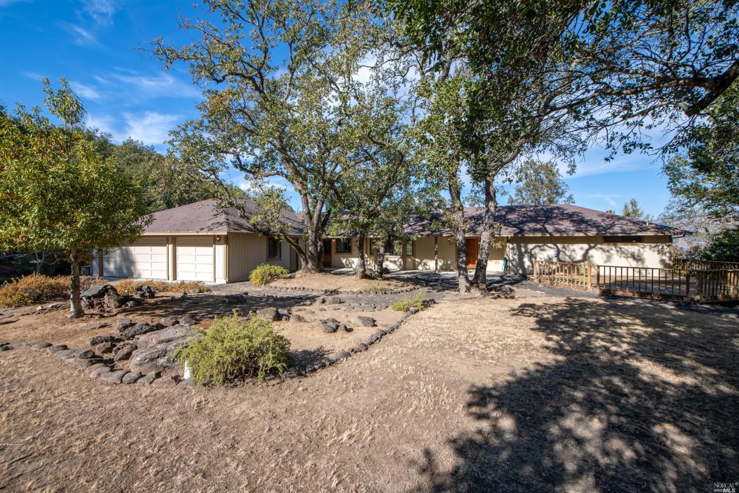 a view of a yard with a tree