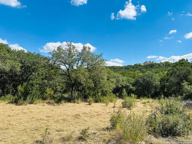 a view of a yard with a tree