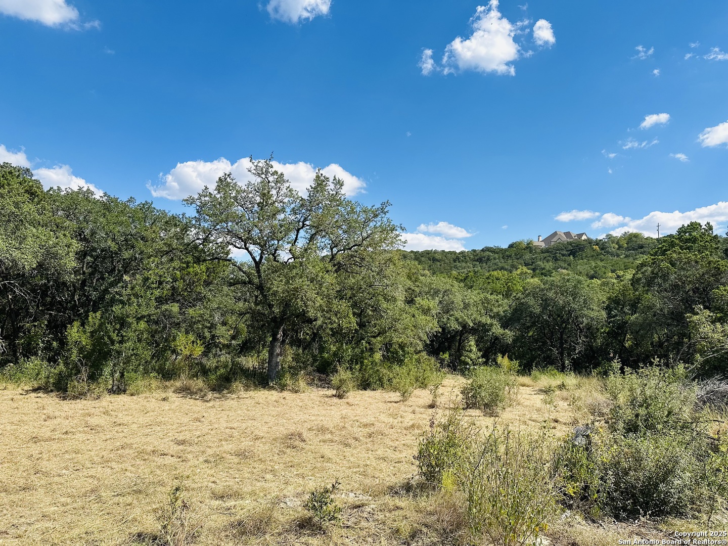 a view of a yard with a tree