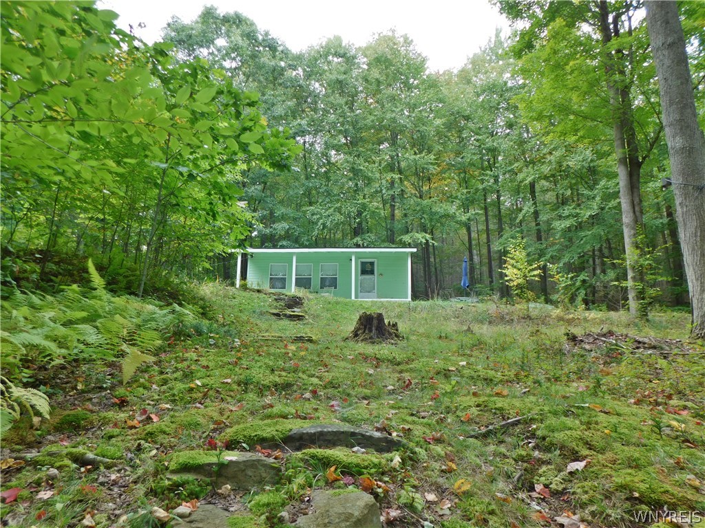 9152 Lyman Road, Unit 30 Clarksville, NY 14727 - Photo 4 of 38 Gallery Image 4