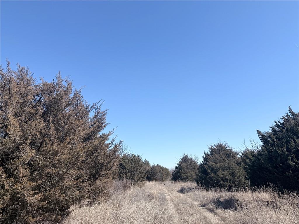 0 200 Road Fredonia, KS 66736 - Photo 6 of 8