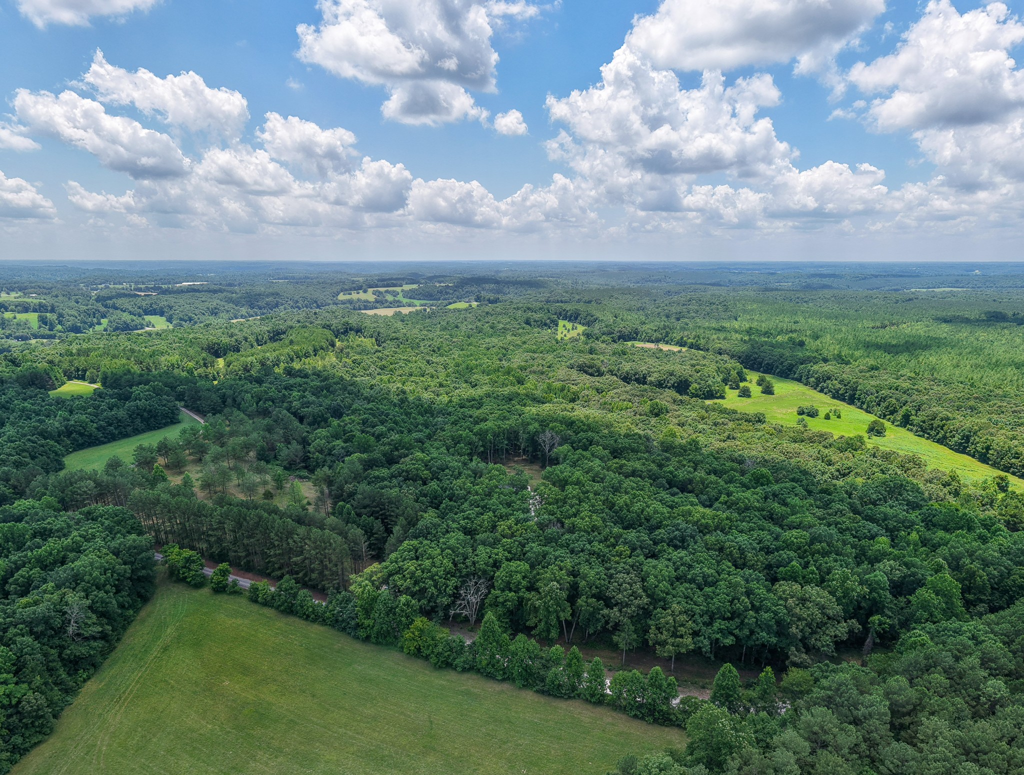 2200 Little Texas Road Goodspring, TN 38460 - Photo 53 of 61
