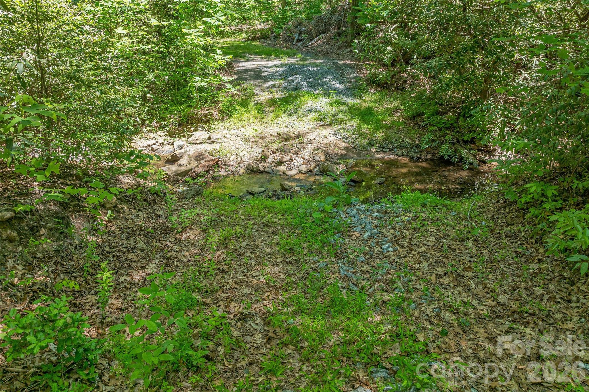 180 Fat Wall Road Marion, NC 28752 - Photo 16 of 32 a view of a lush green forest with large trees
