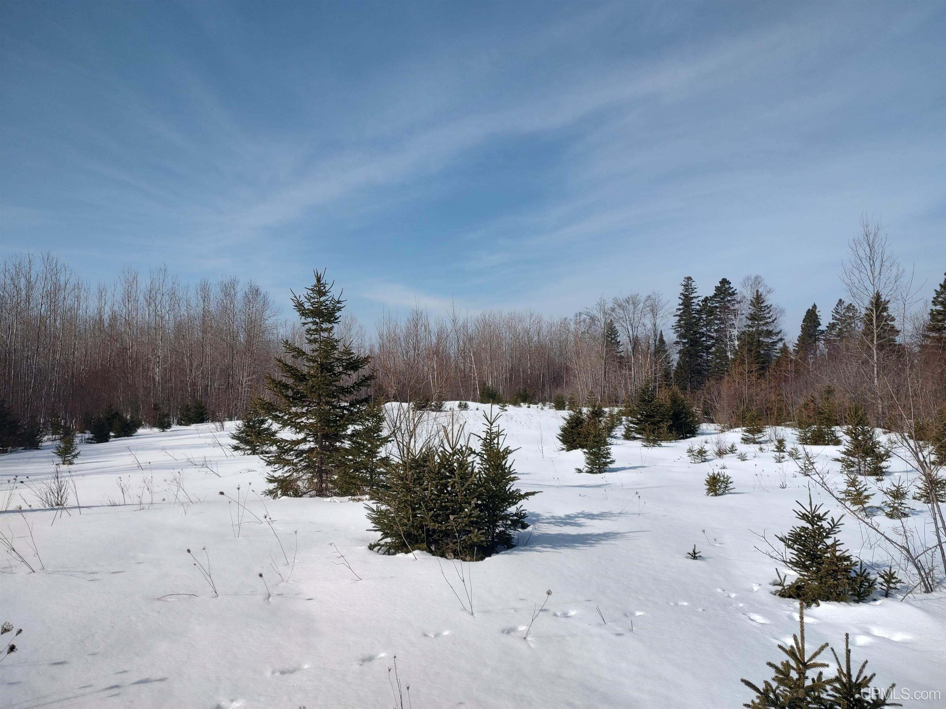30-acres Parkington Road Gulliver, MI 49840 - Photo 14 of 31