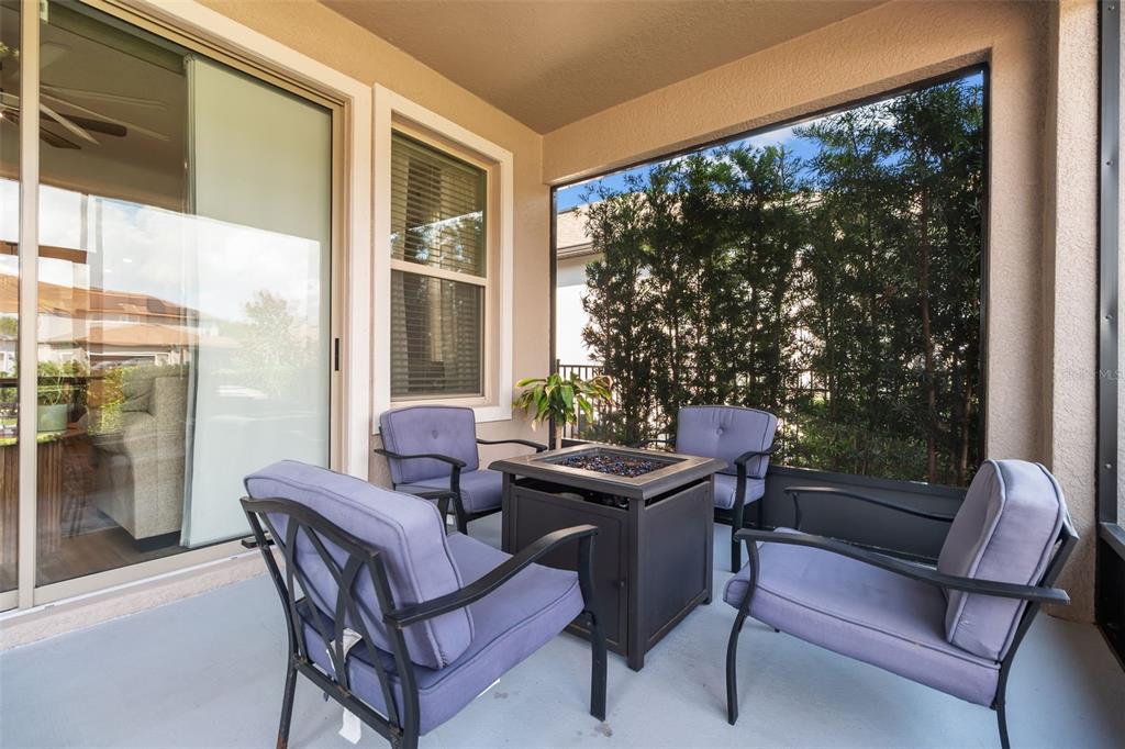 4465 Tubular Run Land O Lakes, FL 34638 - Photo 26 of 60