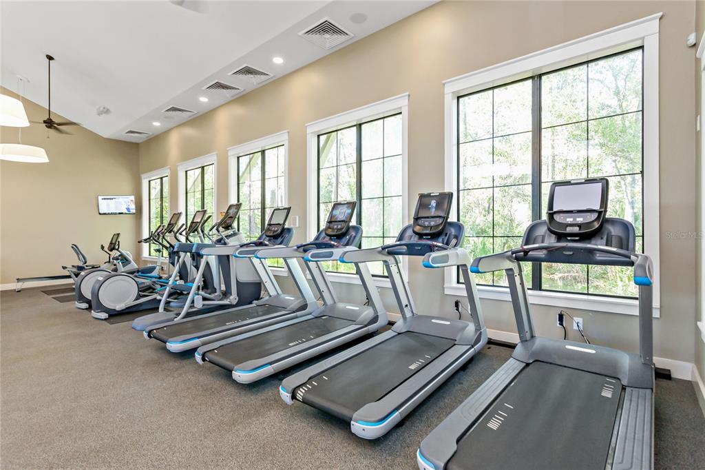 4465 Tubular Run Land O Lakes, FL 34638 - Photo 53 of 60 a room with gym equipment and floor to ceiling window