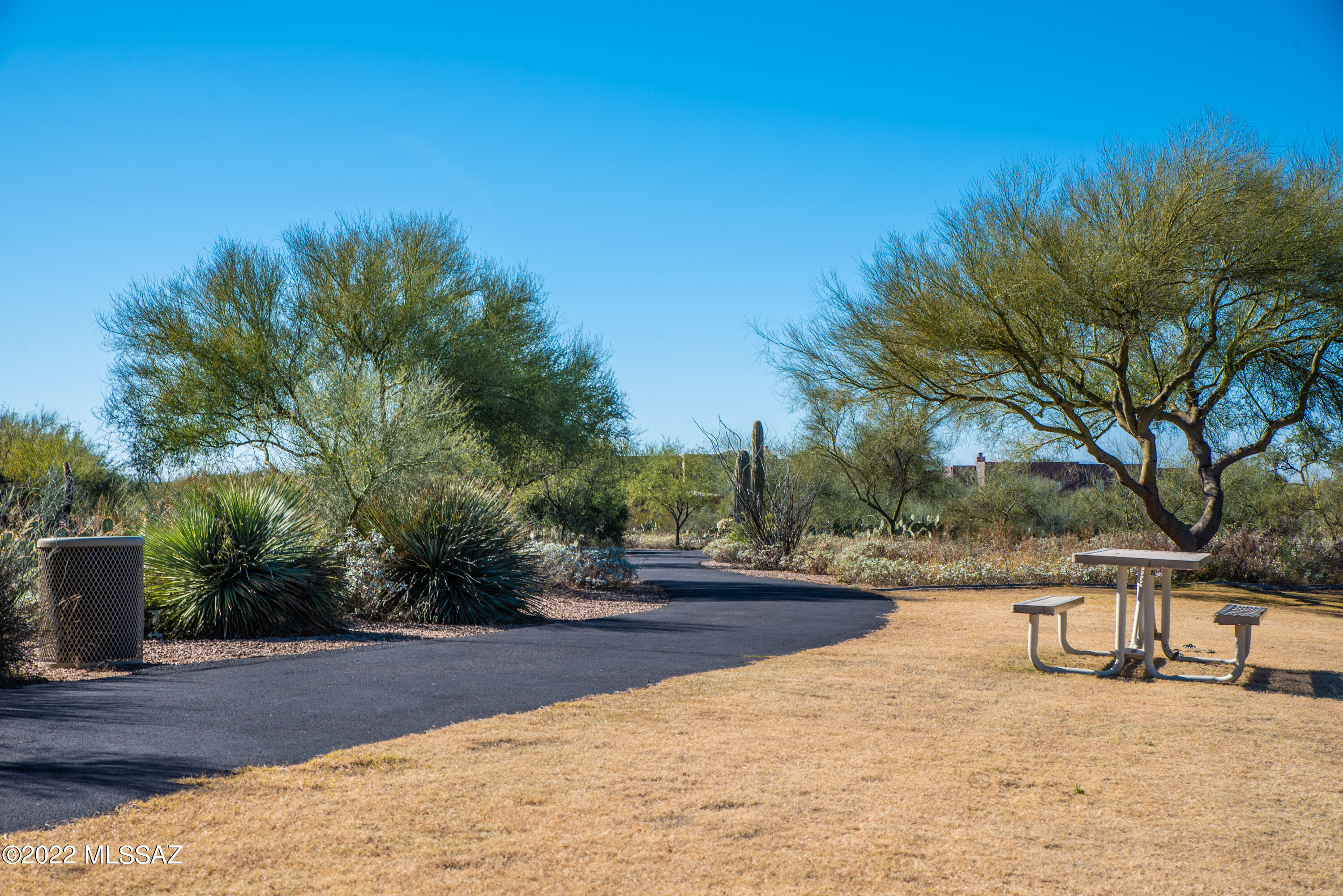 9366 South Via Famero Vail, AZ 85641 - Photo 48 of 50