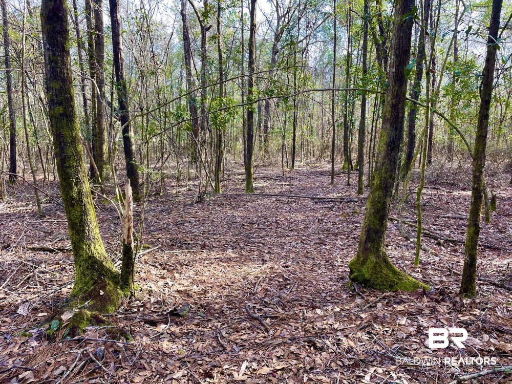 0 Baxter Road Wilmer, AL 36587 - Photo 5 of 6