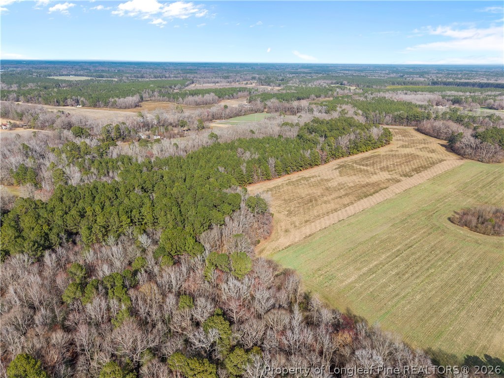 1896-0 Clark Road Lillington, NC 27546 - Photo 3 of 9