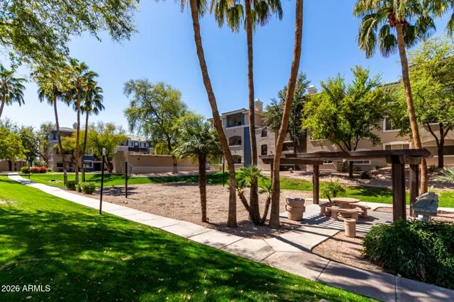 a view of a park with palm trees