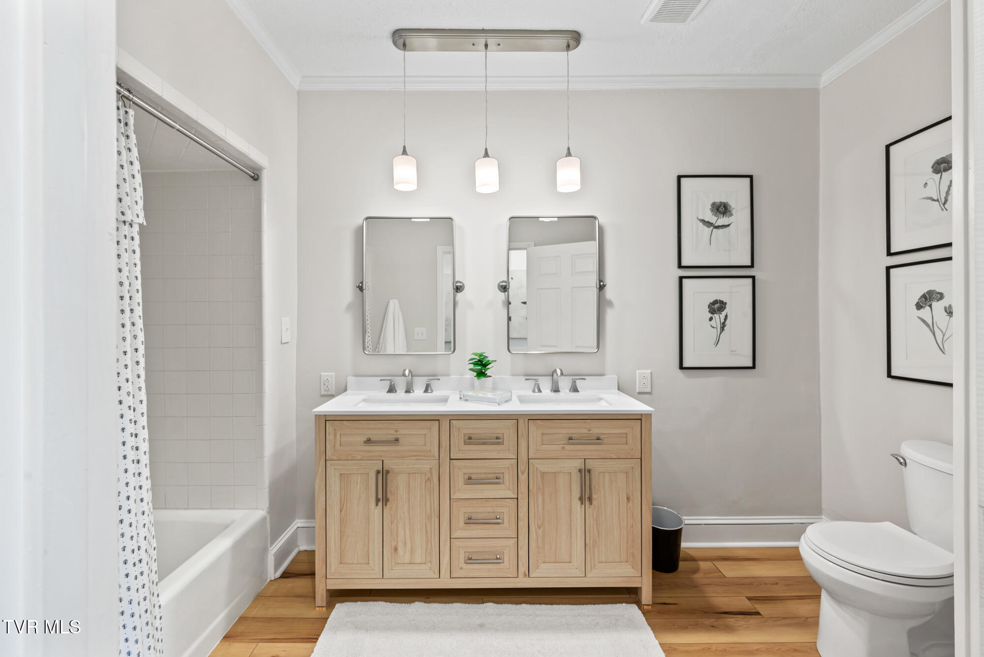 1910 Riverside Road Bristol, TN 37620 - Photo 42 of 81 DSC_4921-2