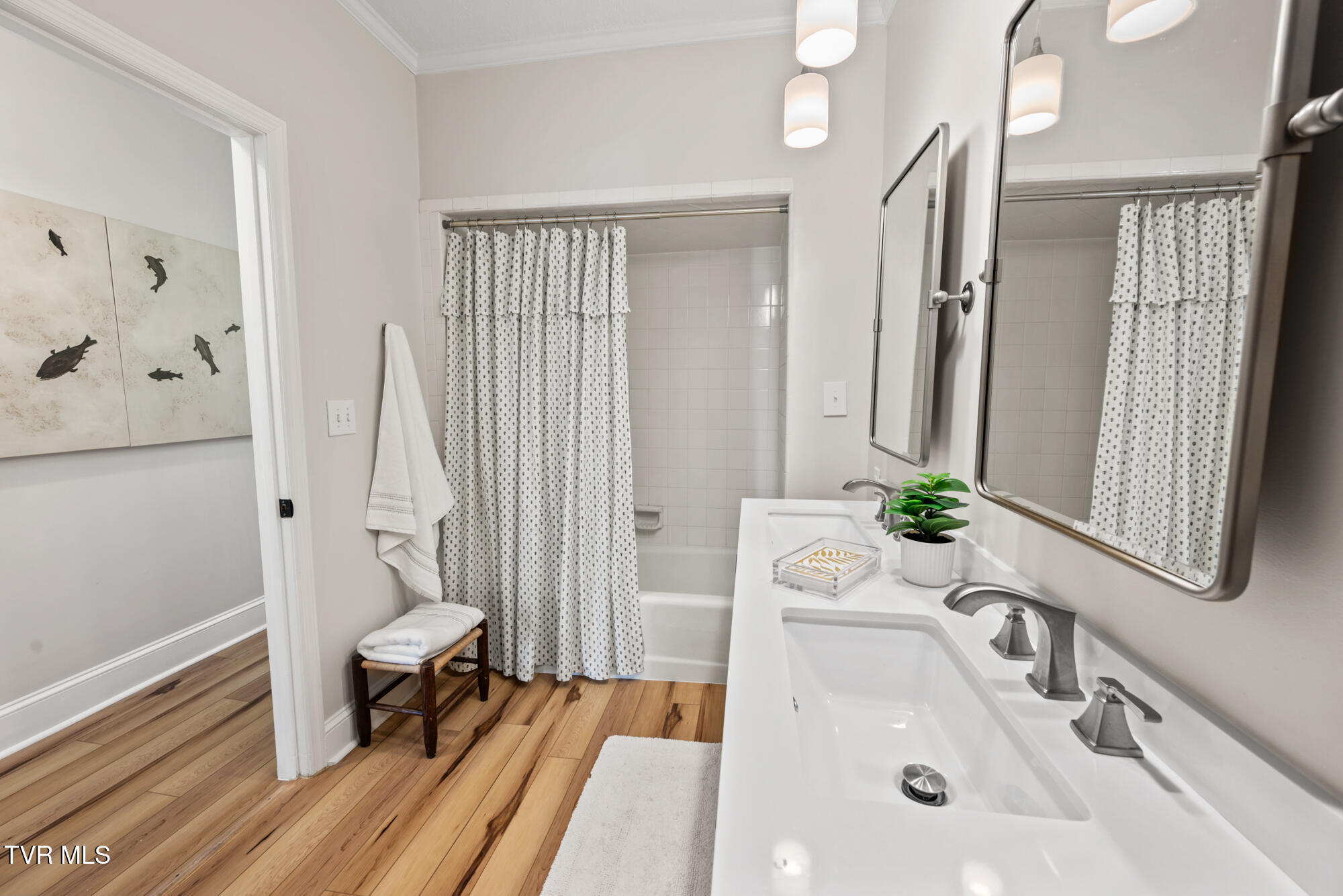 1910 Riverside Road Bristol, TN 37620 - Photo 43 of 81 DSC_4926-2