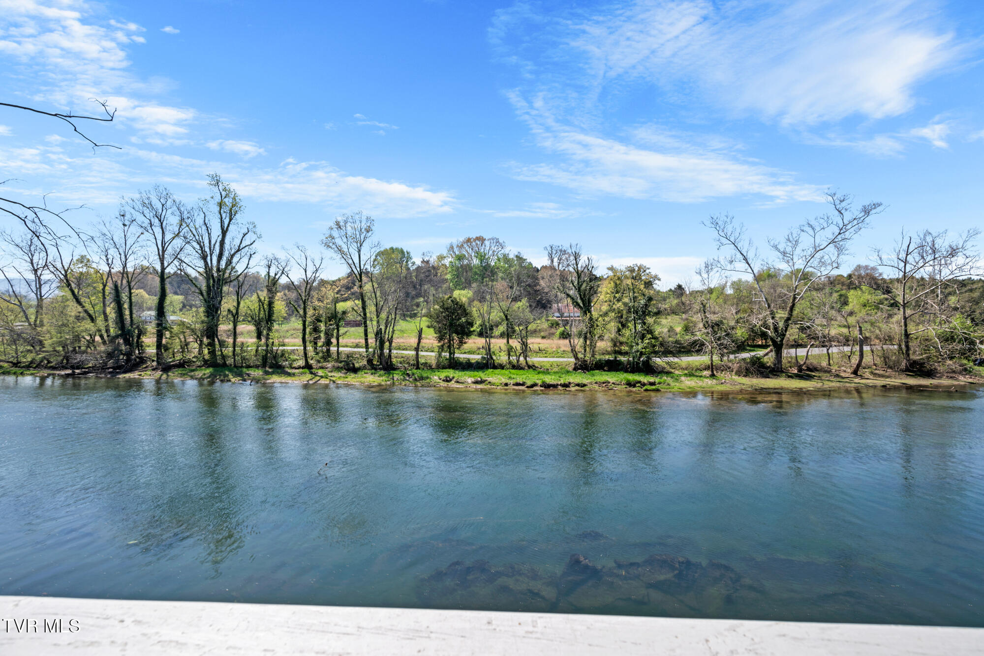 1910 Riverside Road Bristol, TN 37620 - Photo 57 of 81 DSC_5000-2