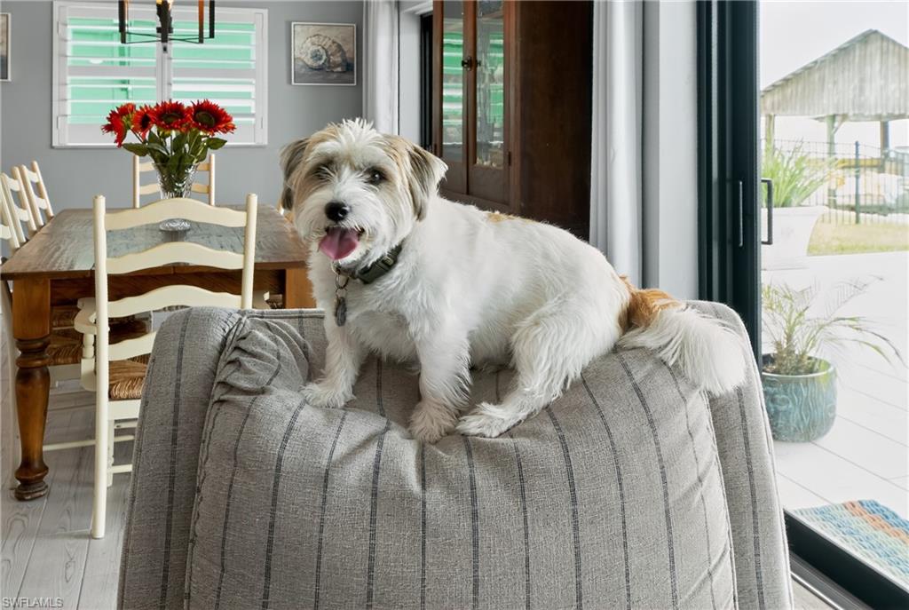 190 Tahiti Circle Naples, FL 34113 - Photo 26 of 32 a view of living room