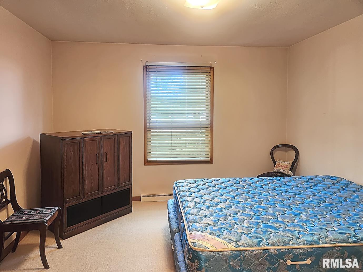 304 North 3rd Street Wyoming, IL 61491 - Photo 23 of 42