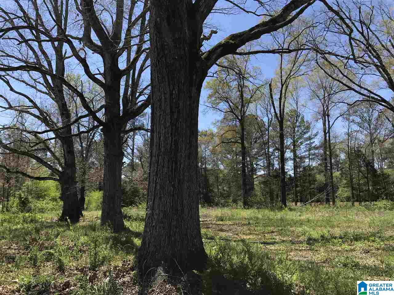 4133 Roy Webb Road, Unit 1 Jacksonville, AL 36265 - Photo 7 of 40