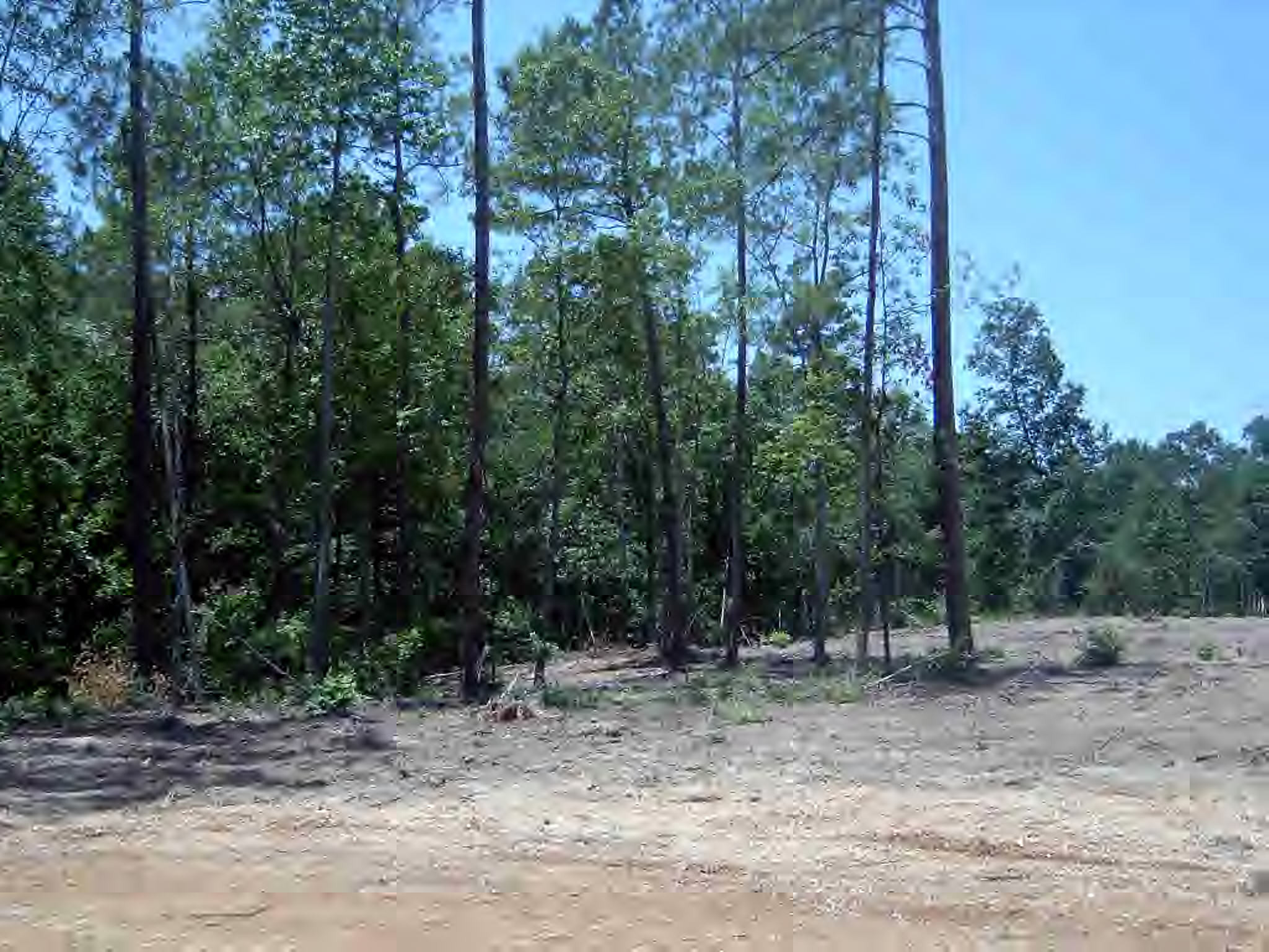Lot #6 Wild Estates Road McComb, MS 39648 - Photo 1 of 1 Main View