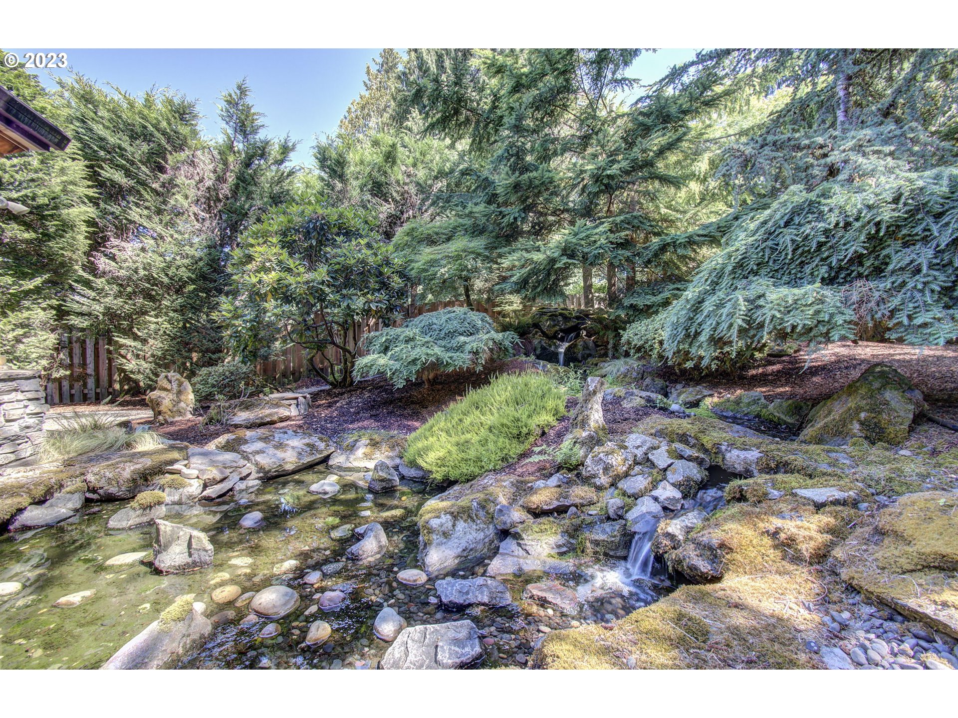 2407 Northeast 165th Street Ridgefield, WA 98642 - Photo 34 of 46 a view of a forest with a tree
