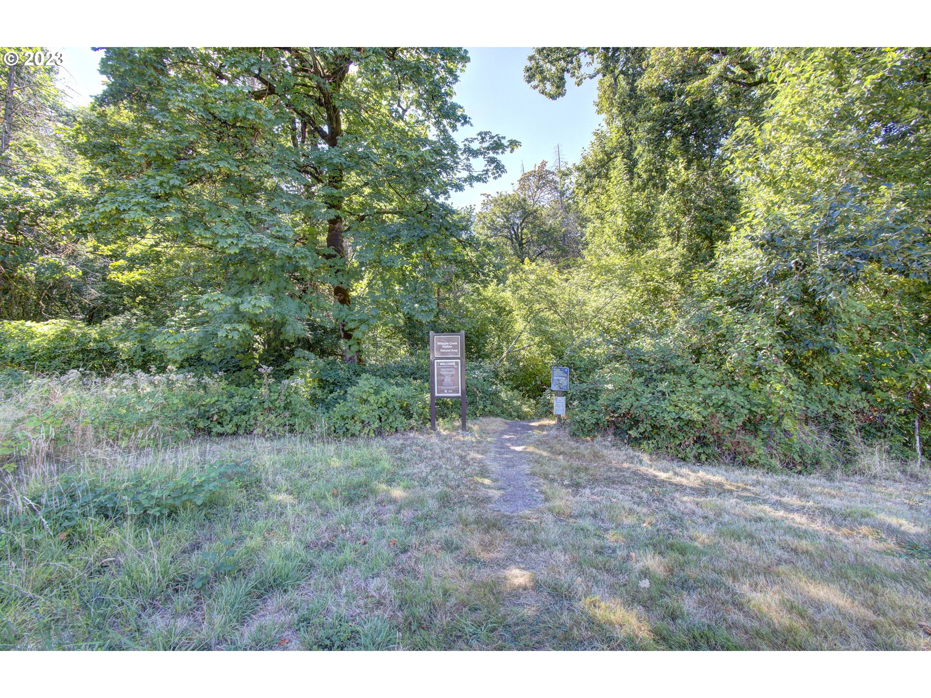 2407 Northeast 165th Street Ridgefield, WA 98642 - Photo 45 of 46 a view of a dry yard with trees