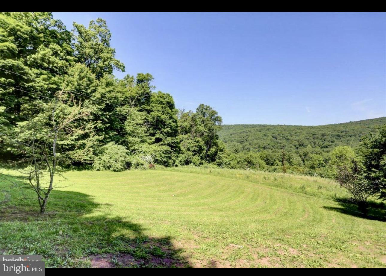 33 Crull Trace Landisburg, PA 17040 - Photo 52 of 69 YARD
