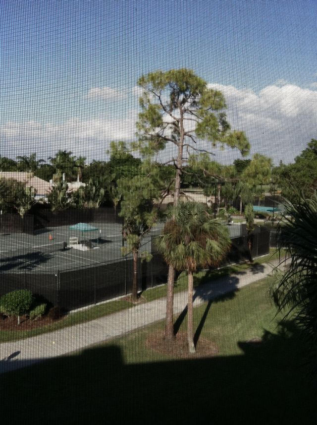 6133 Balboa Circle, Unit 405 Boca Raton, FL 33433 - Photo 29 of 36