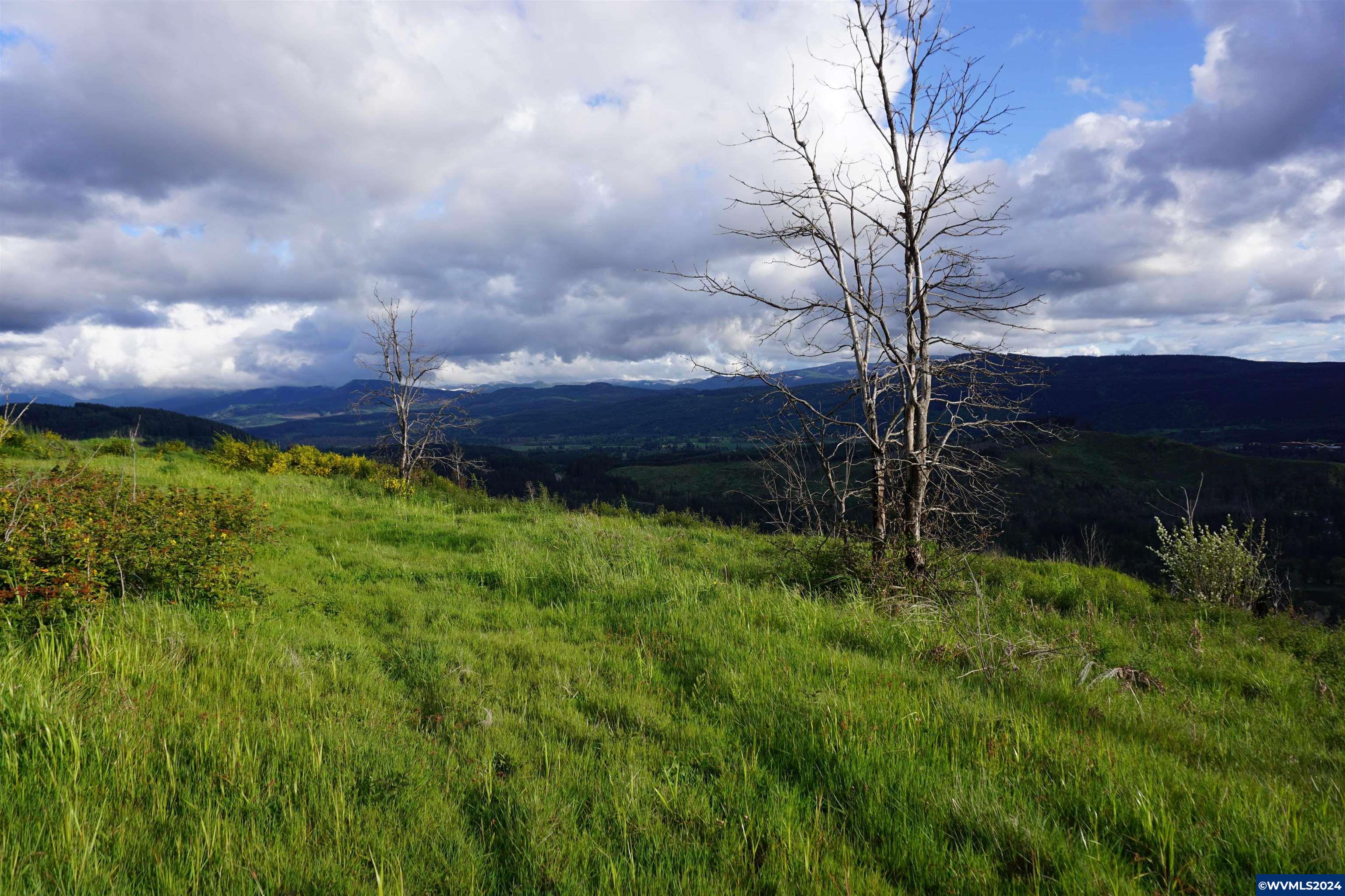 900 Wagner Road Lyons, OR 97358 - Photo 9 of 30