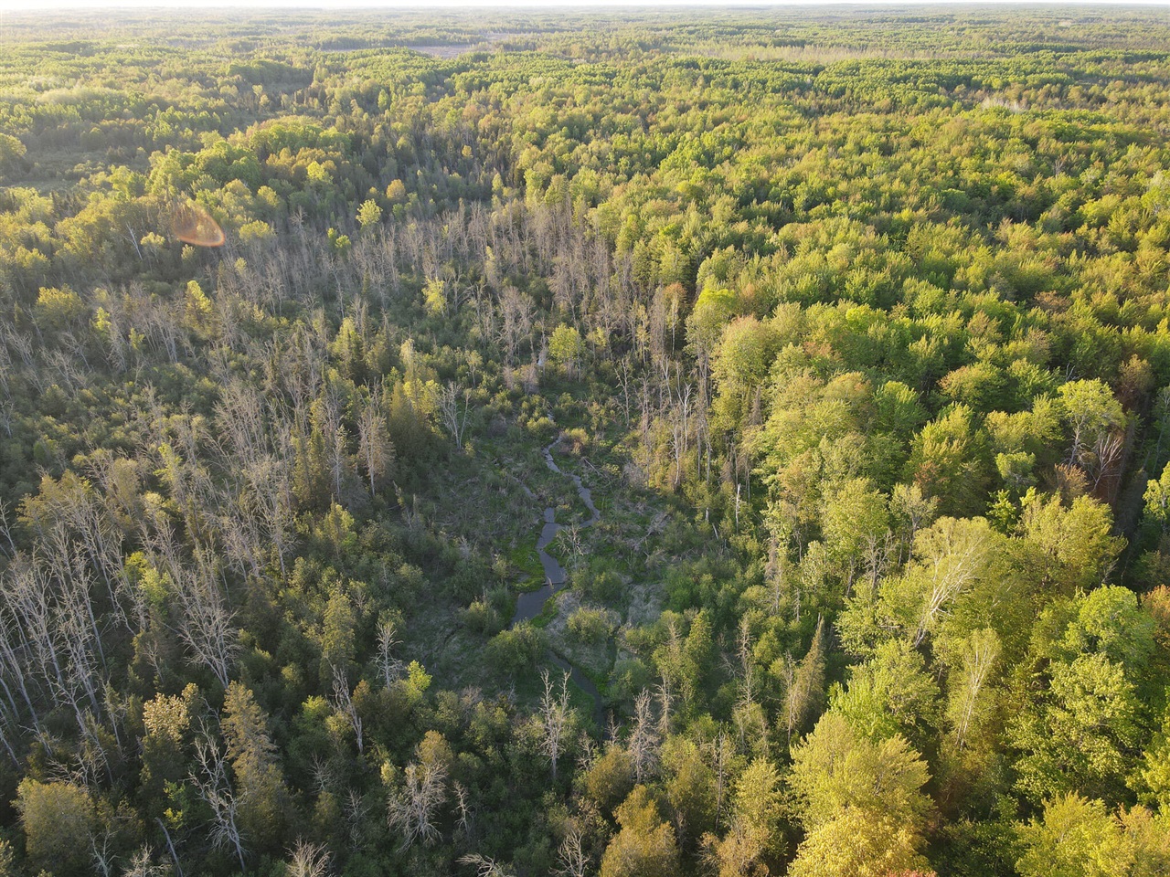 V/l V/l 33rd Road Gladstone, MI 49837 - Photo 16 of 70