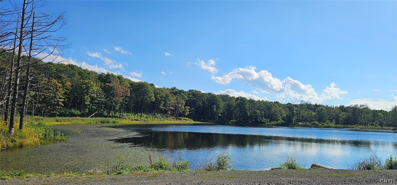 Creamery Road Richford, NY 13835 - Photo 1 of 35 Gallery Image 1