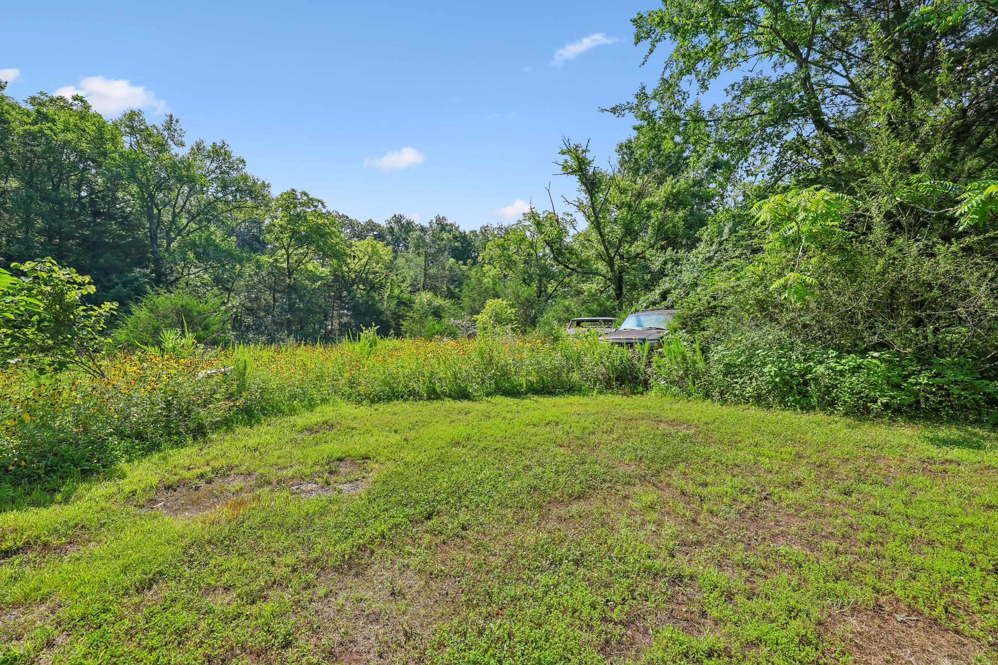 10897 Bunker Hill Road Rockvale, TN 37153 - Photo 6 of 38