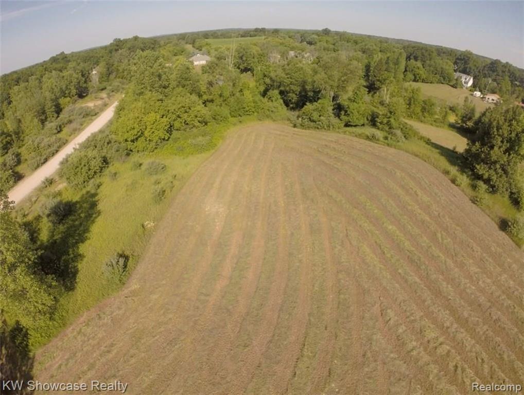 0 Brendel Road White Lake, MI 48383 - Photo 9 of 12