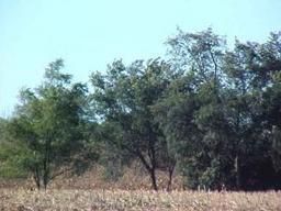 Lt2 Lt2 South Road, Burlington, WI 53105