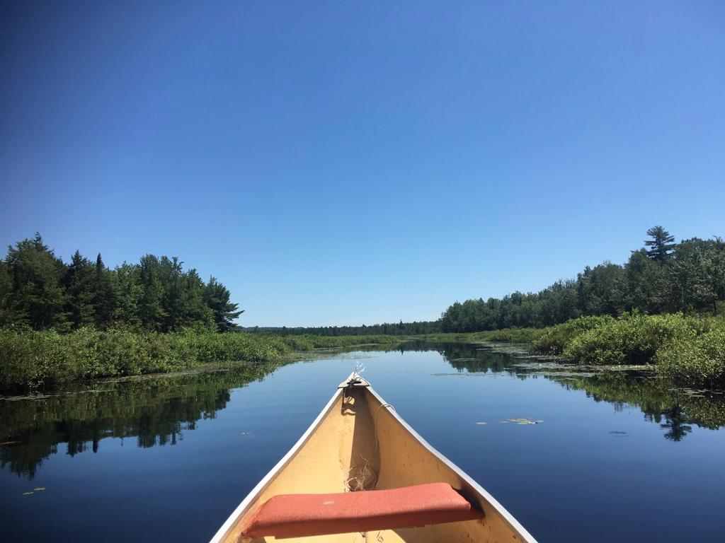 581 Bog Road Albion, ME 04910 - Photo 4 of 16 canoe