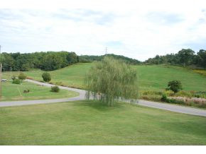 2401 Island Road Blountville, TN 37617 - Photo 3 of 24 Views from front porch