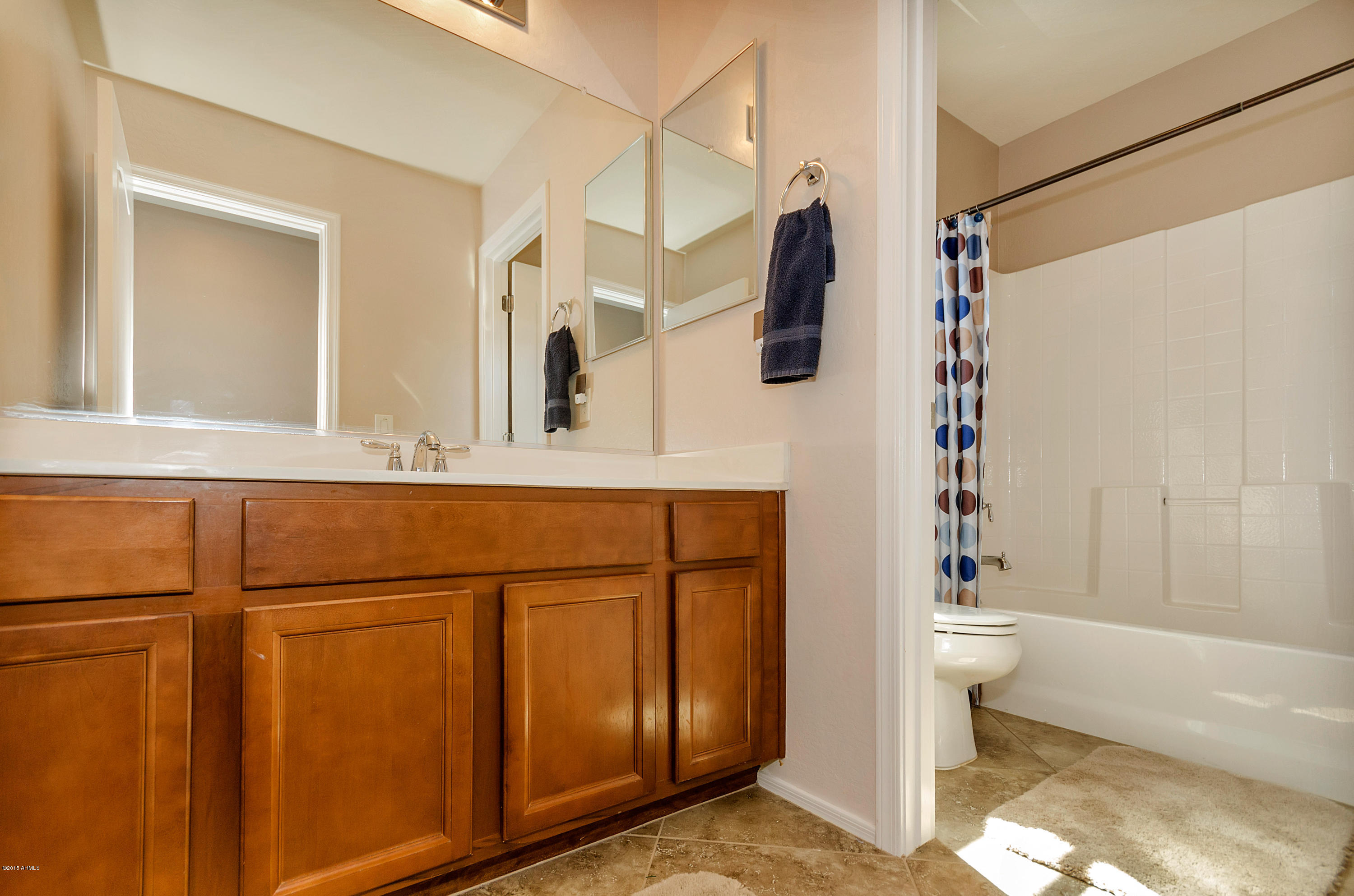 2054 South Martingale Road Gilbert, AZ 85295 - Photo 13 of 28 Hall Bathroom