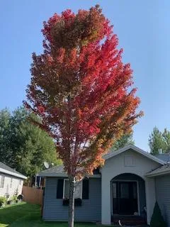 $599,900 | 201 9th Street, Bellevue, ID 83313
