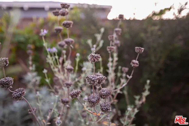 $1,309,000 | 1809 North Rose Street, Burbank, CA 91505