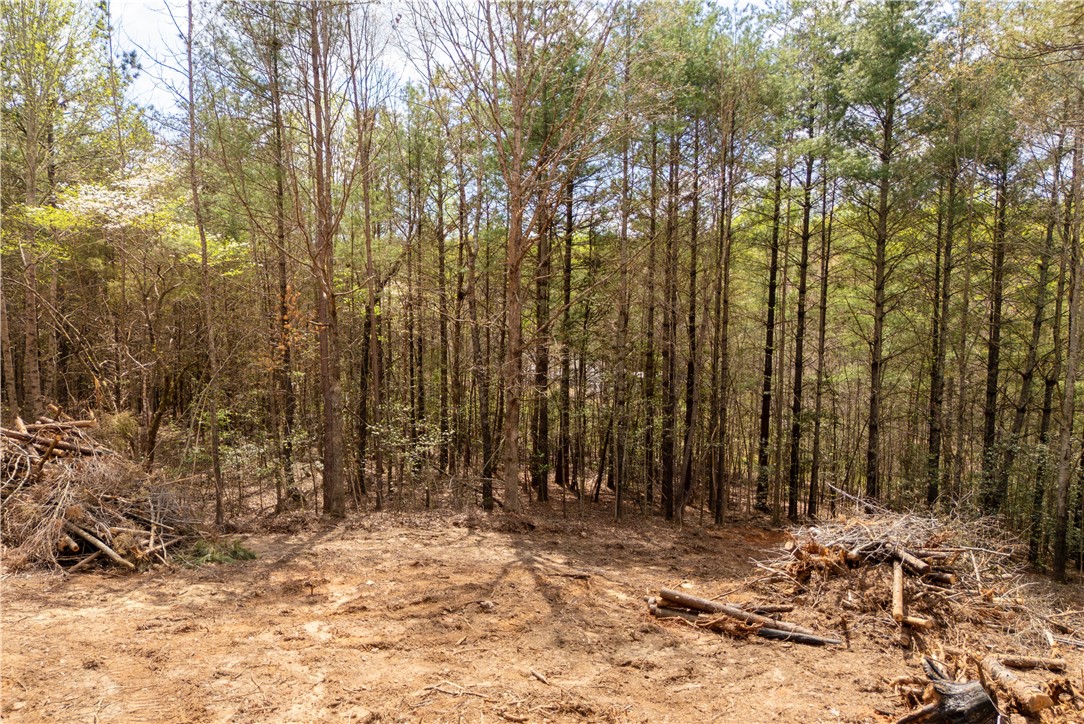 Tbd Gray Stroke Lane Pickens, SC 29671 - Photo 6 of 9 This undeveloped land parcel offers a serene woodland setting, perfect for your future home.