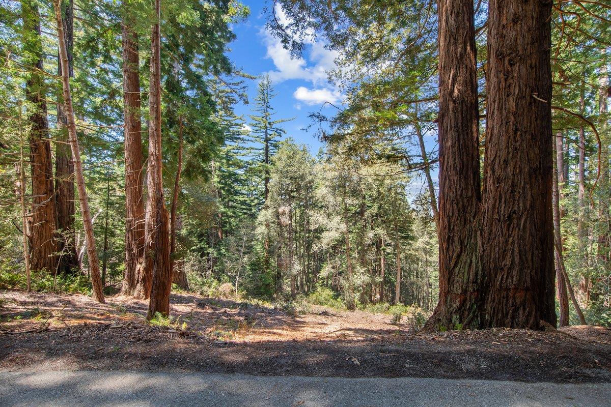 0 Native Sons Road Redwood City, CA 94062 - Photo 6 of 28