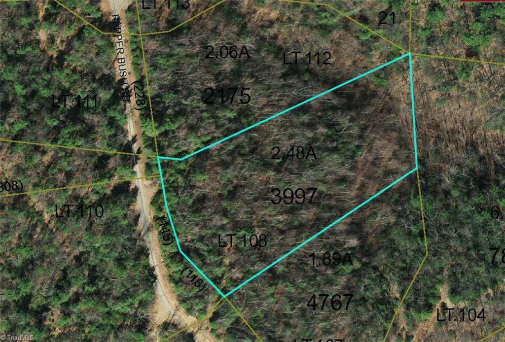108 Pepper Bush Road Purlear, NC 28665 - Photo 1 of 1 Gallery Image 1
