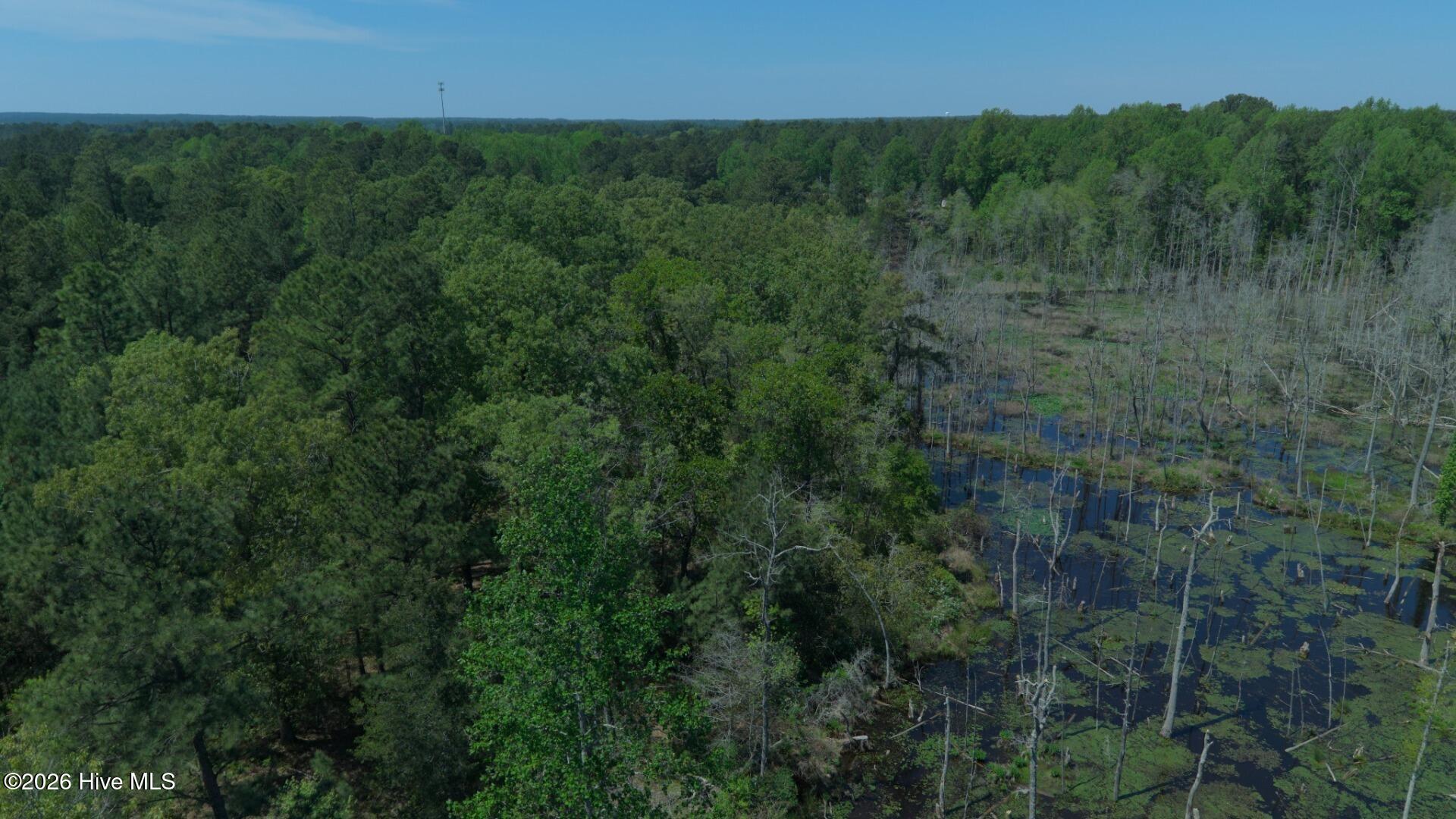 0 Sr 1226 Road Aberdeen, NC 28315 - Photo 16 of 43 Aerial Tree Level NE Trail