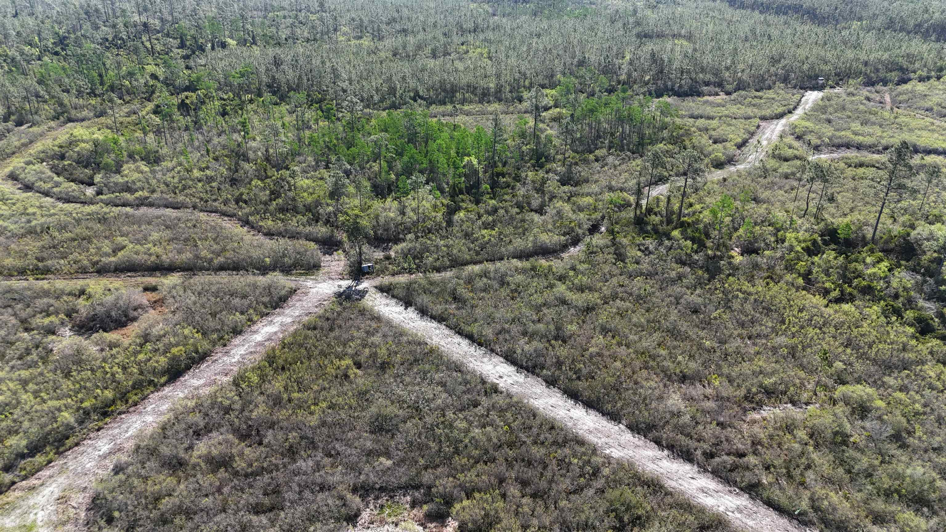 0 Madison Main Line Road Perry, FL 32347 - Photo 10 of 50