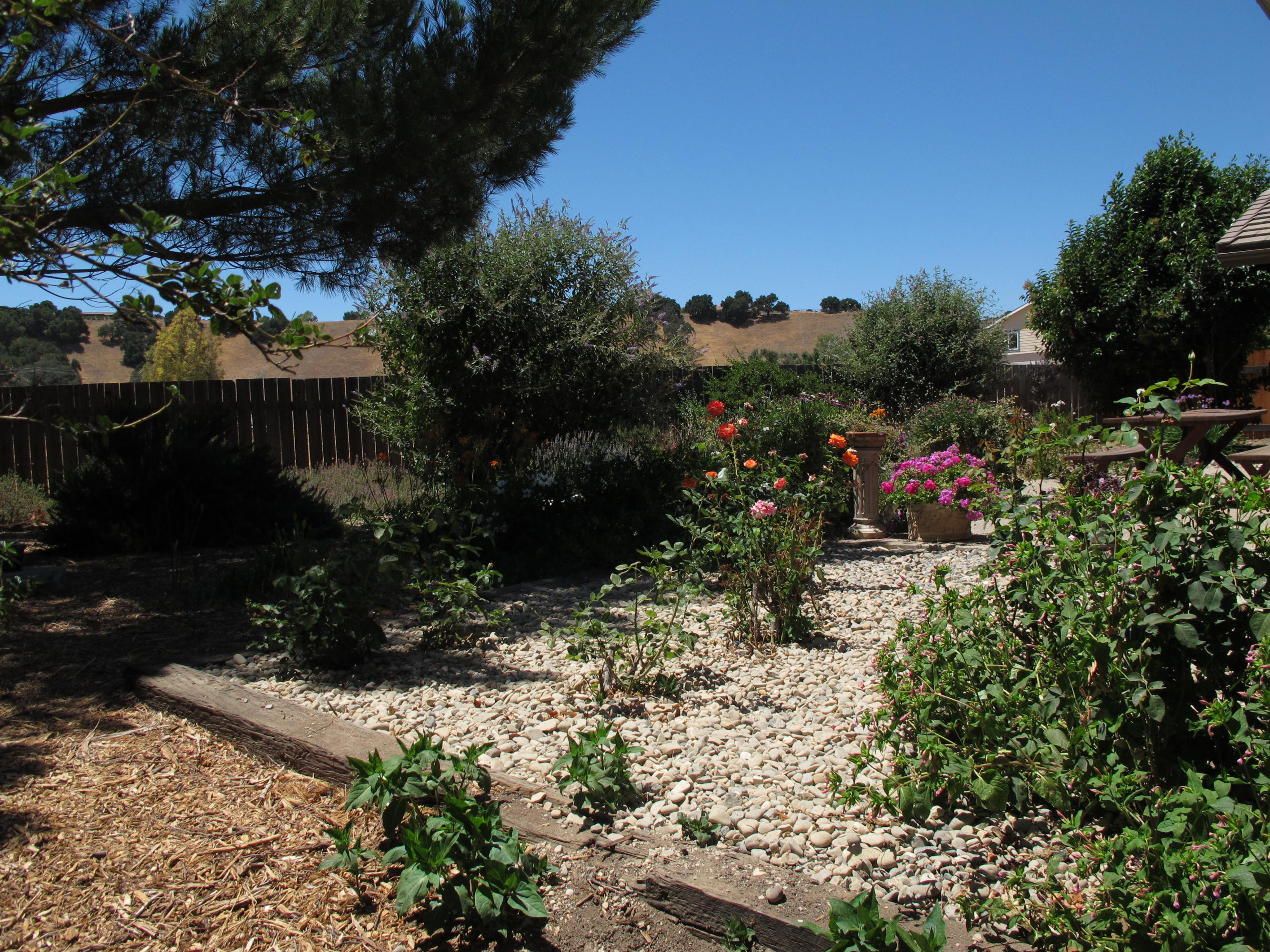 1238 Alamo Pintado Road Solvang, CA 93463 - Photo 11 of 14 Backyard