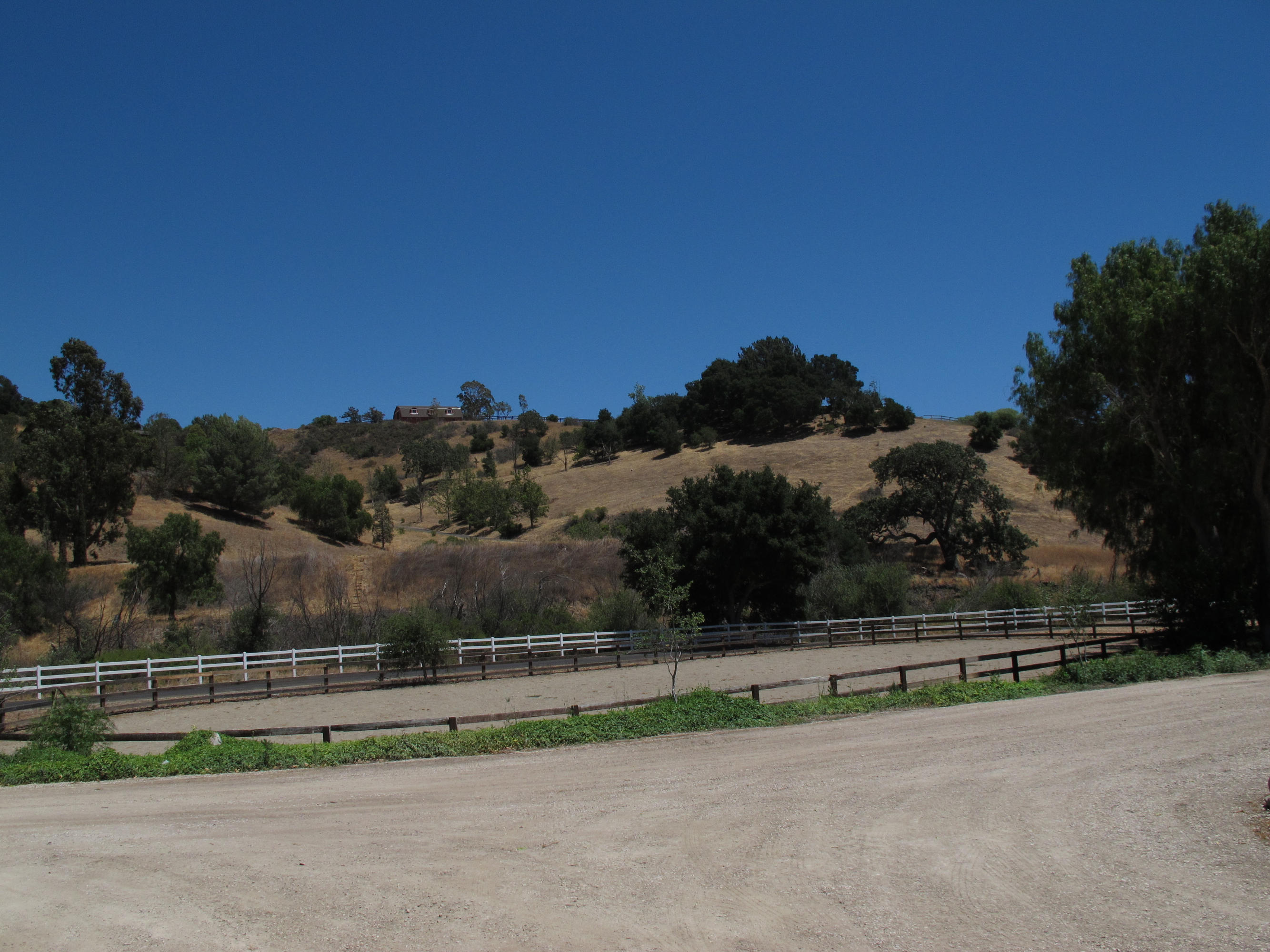 Arena from barn