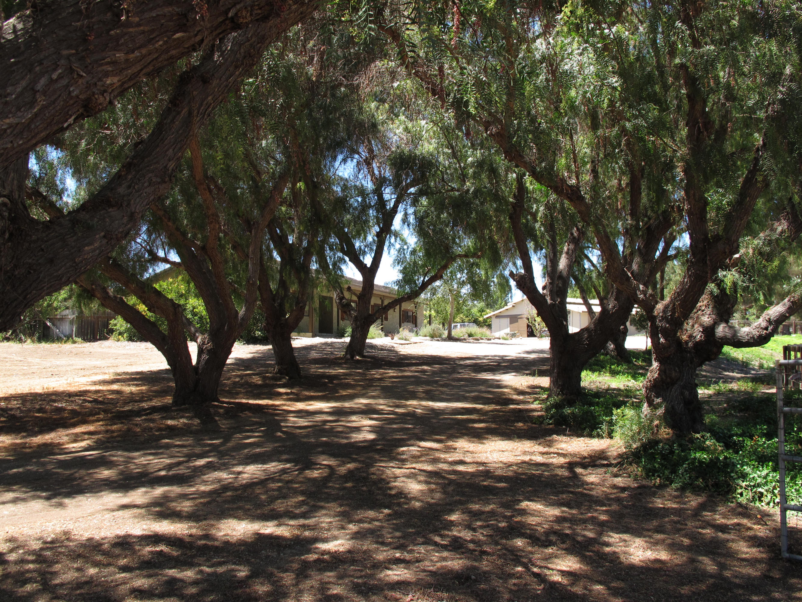 1238 Alamo Pintado Road Solvang, CA 93463 - Photo 9 of 14 Driveway exit