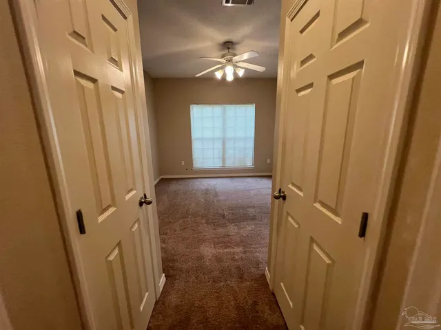 a view of backyard with large trees and plants