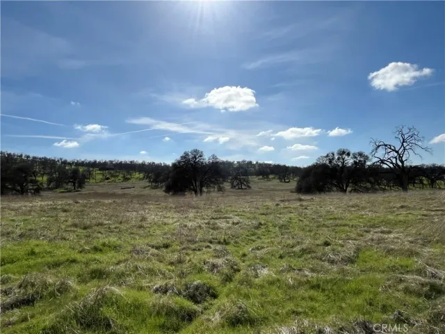 a view of a green field with wooden fence