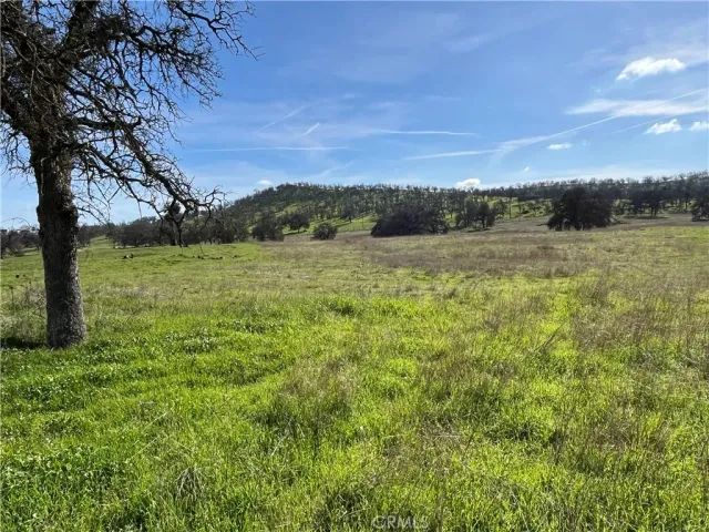 a view of an outdoor space and a yard