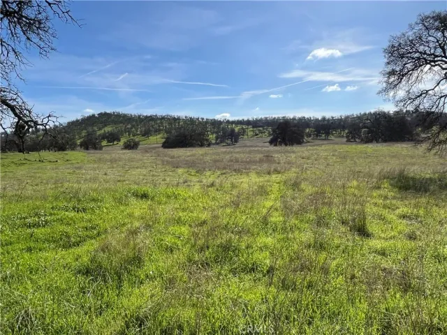 a view of an outdoor space and a yard